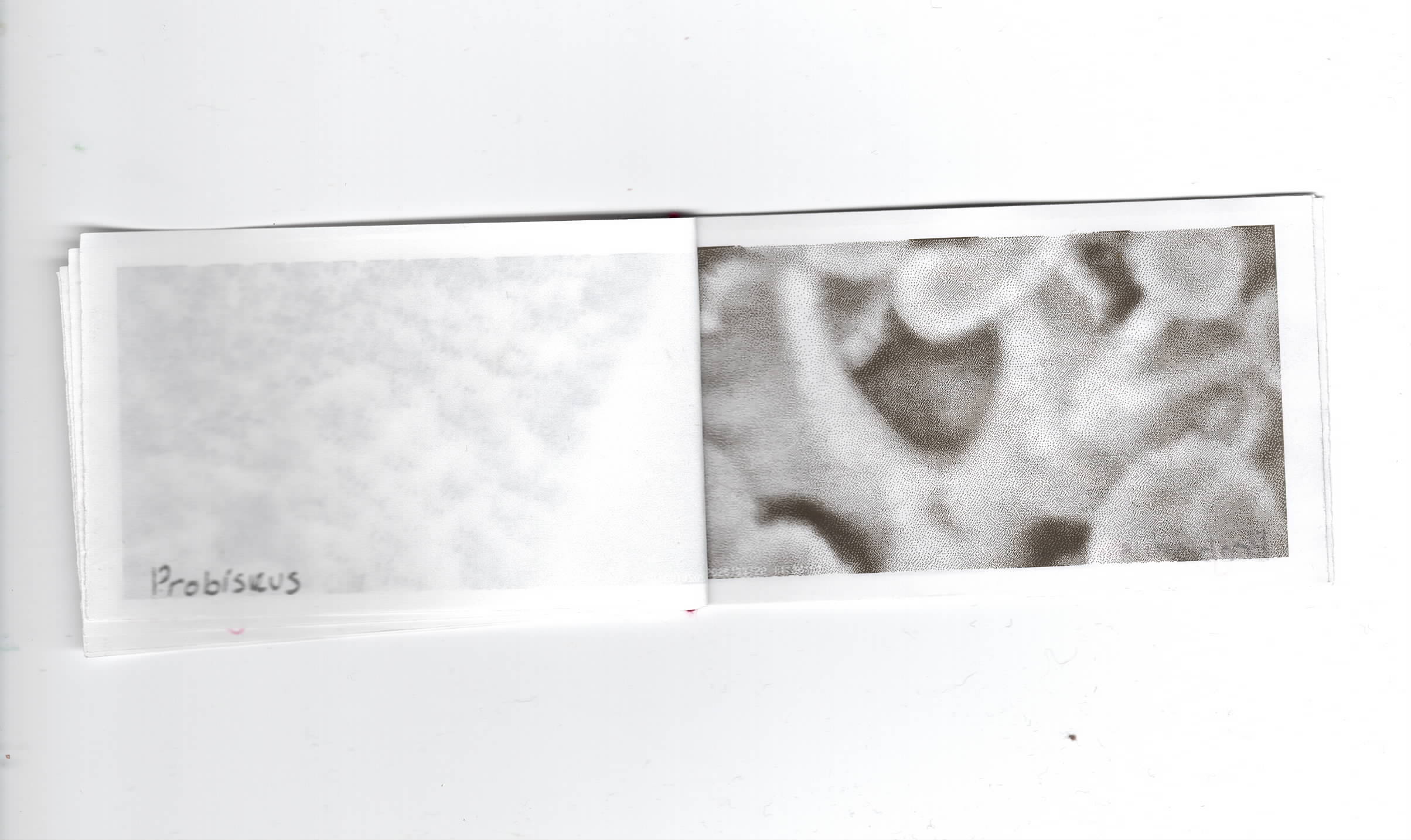 probicus-5